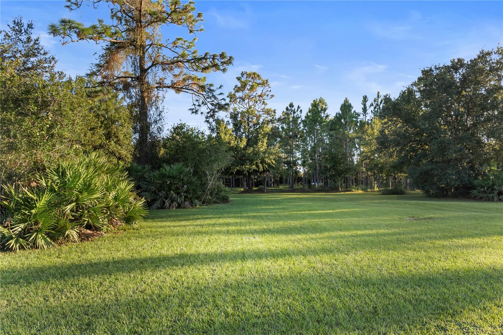 20107 Starry St Property Photo 27