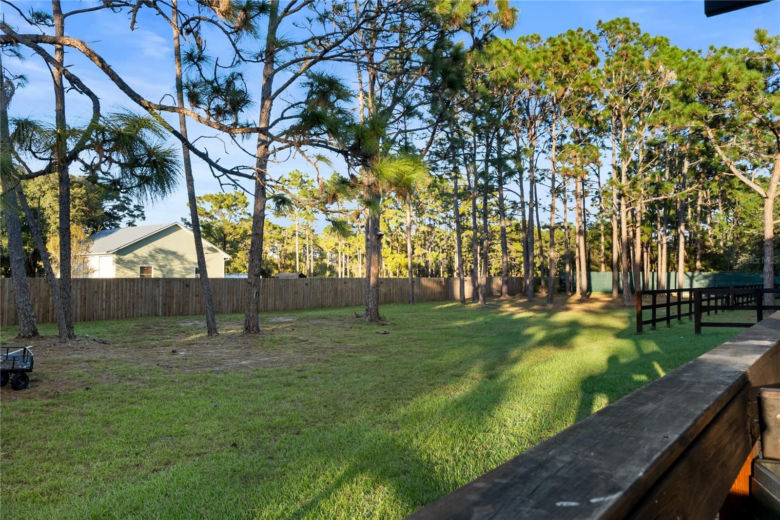 20107 Starry St Property Photo 35