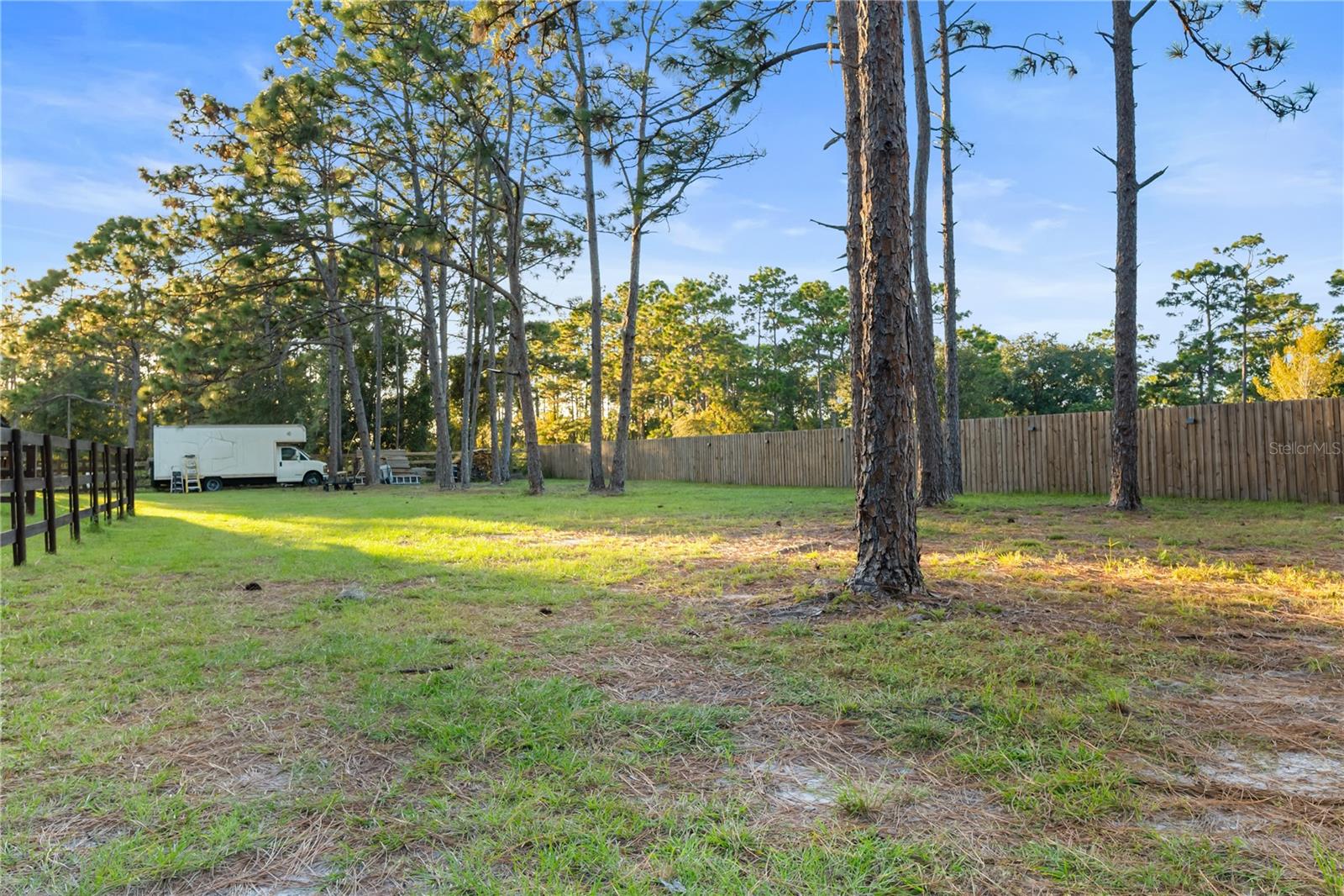 20107 Starry St Property Photo 41