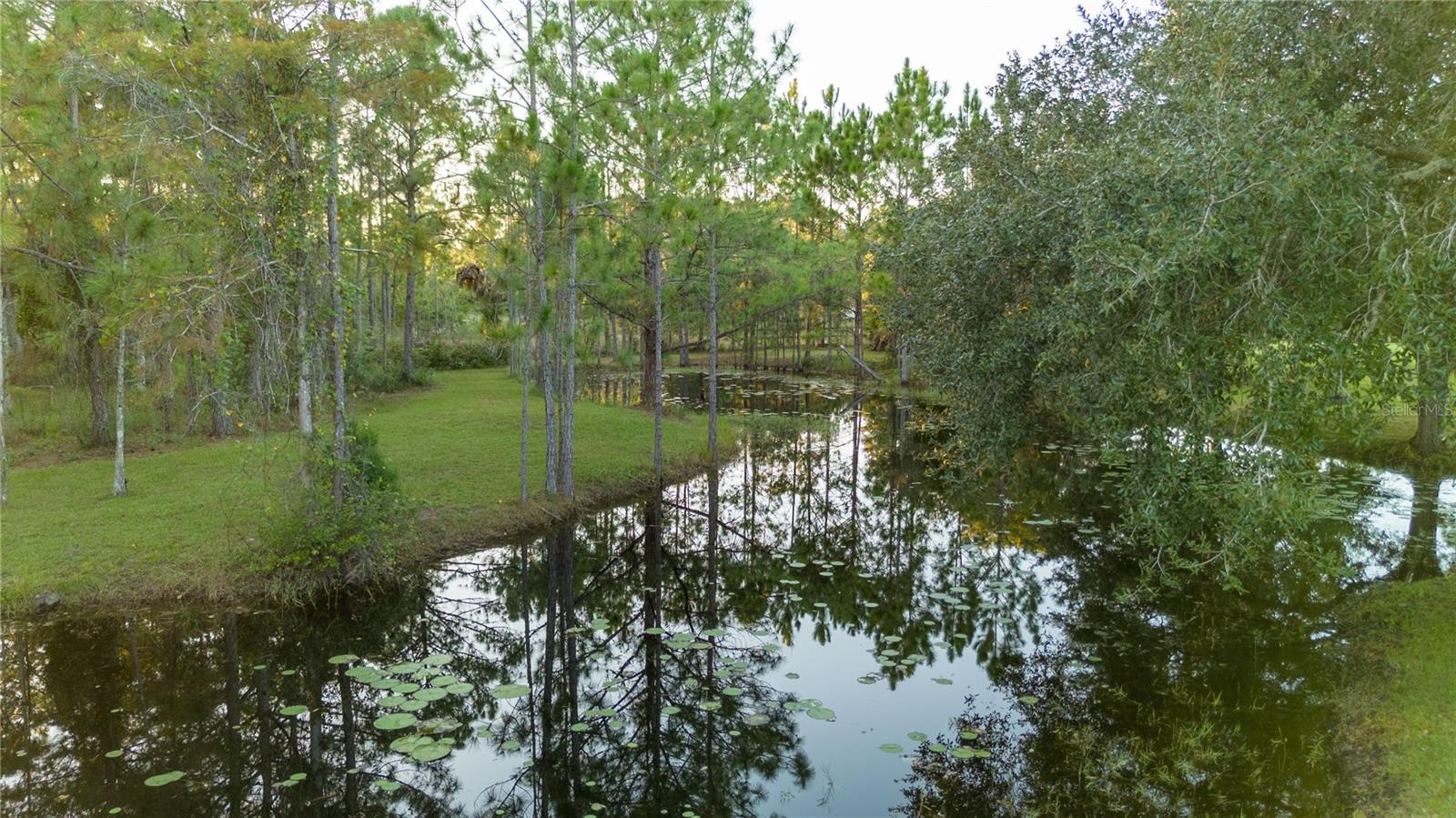 20107 Starry St Property Photo 43