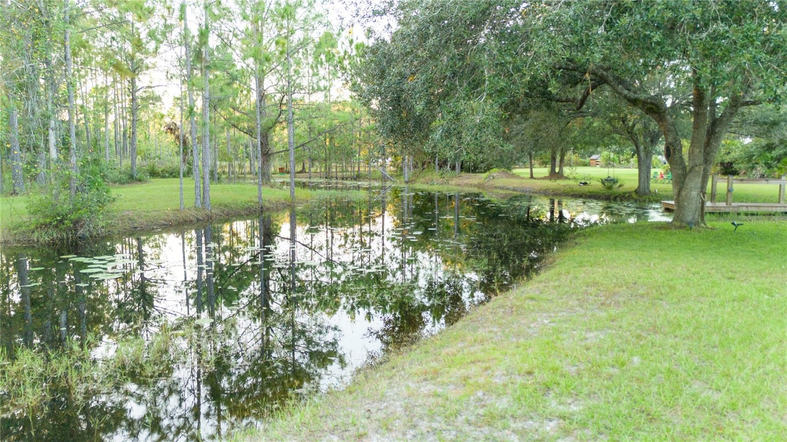 20107 Starry St Property Photo 45