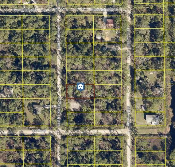 1535 EAST PKWY Property Photo 1