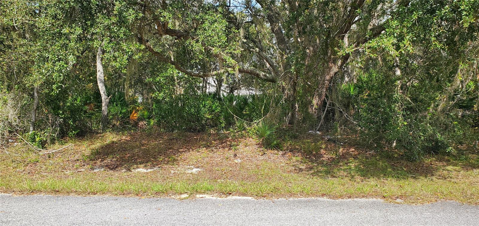 1227 Alafia Way Property Photo 1
