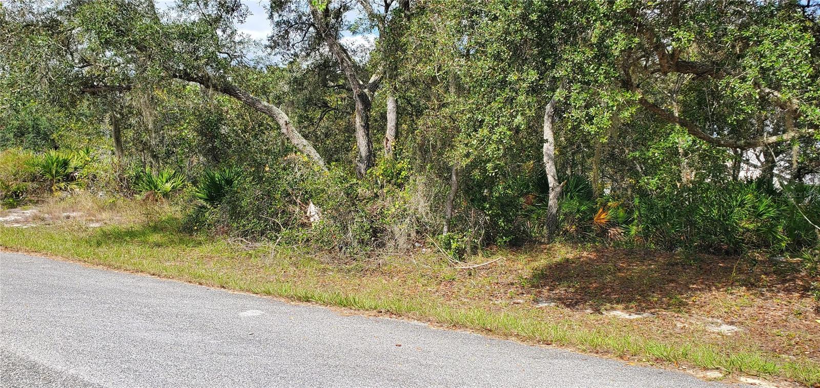 1227 Alafia Way Property Photo 3