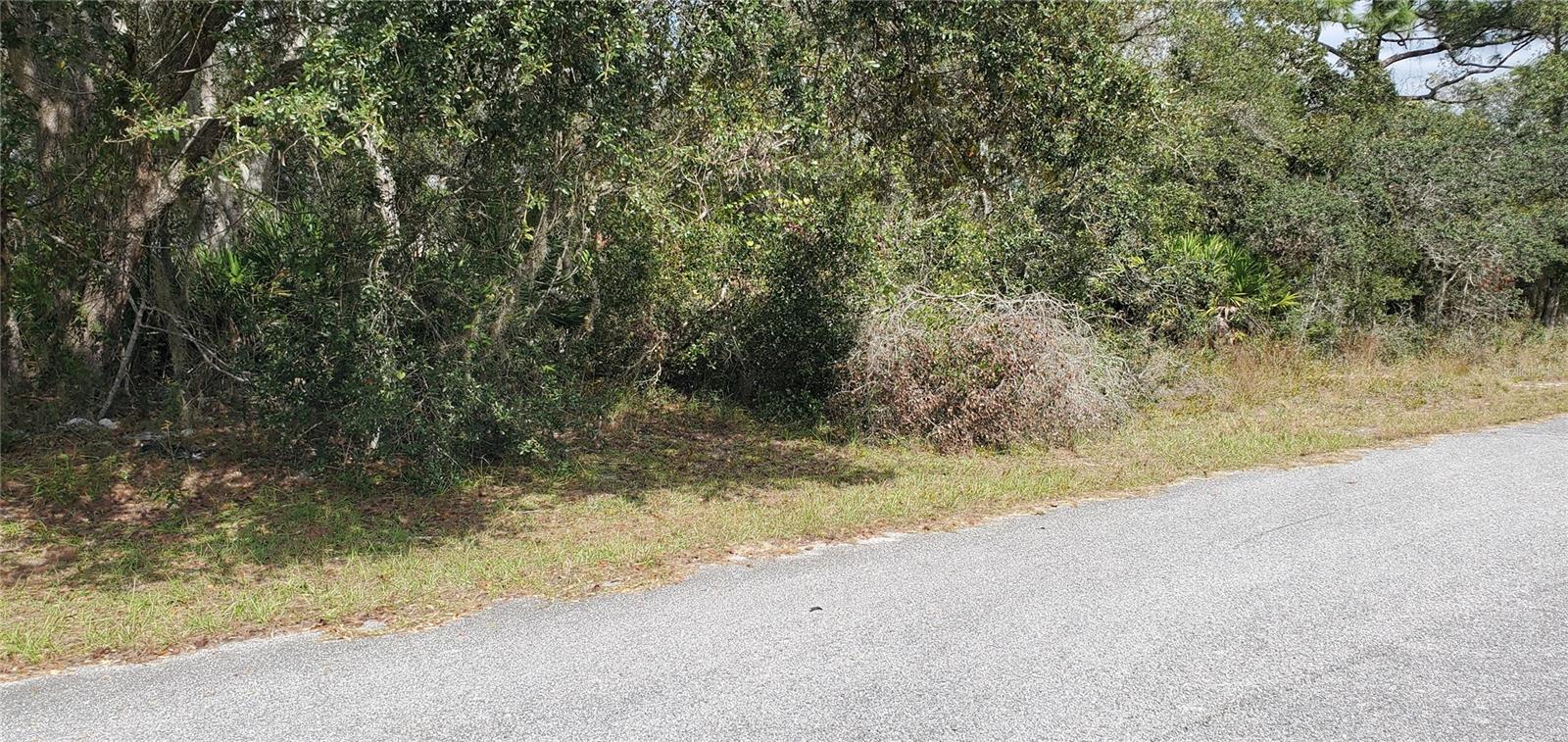 1227 Alafia Way Property Photo 4