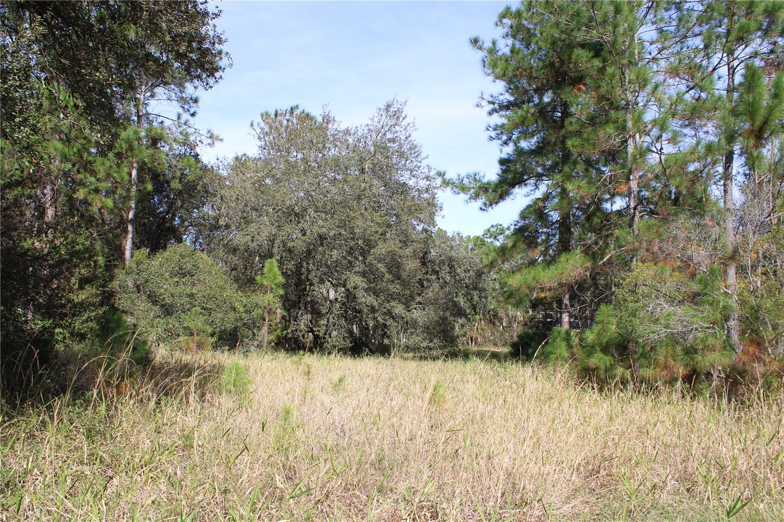Duboise Dr Property Photo 1