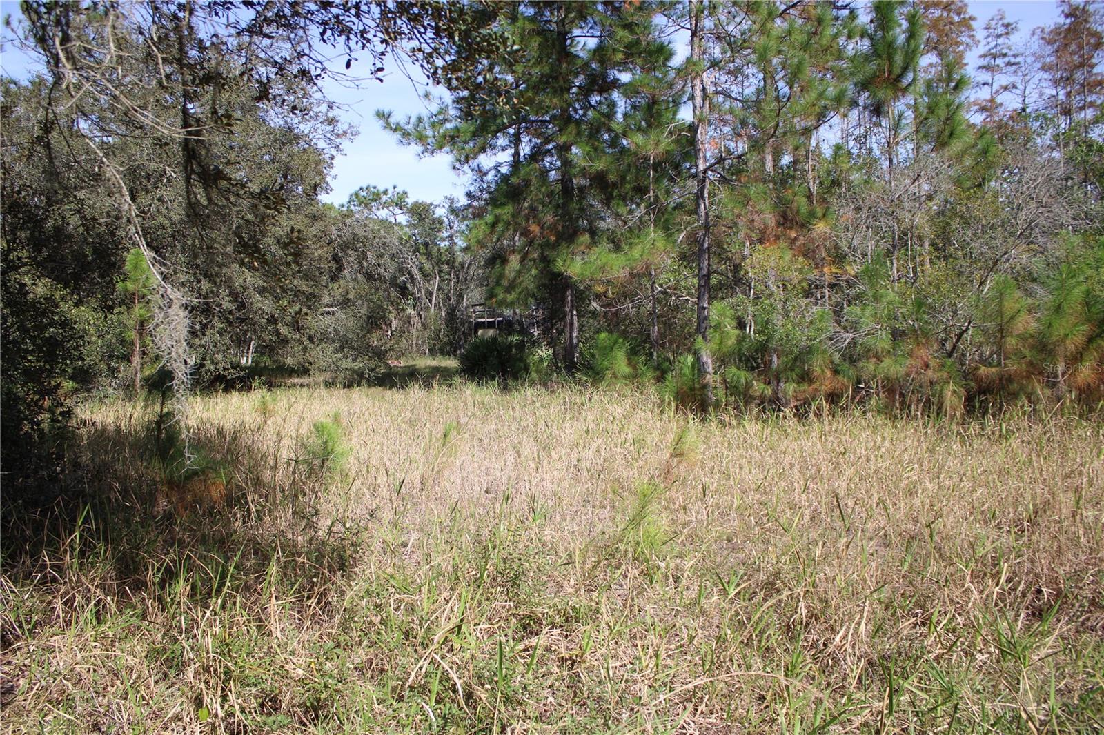 Duboise Dr Property Photo 8