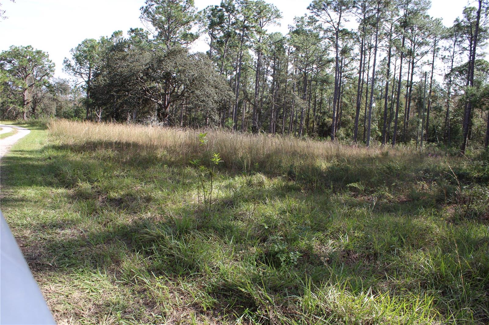 Duboise Dr Property Photo 13