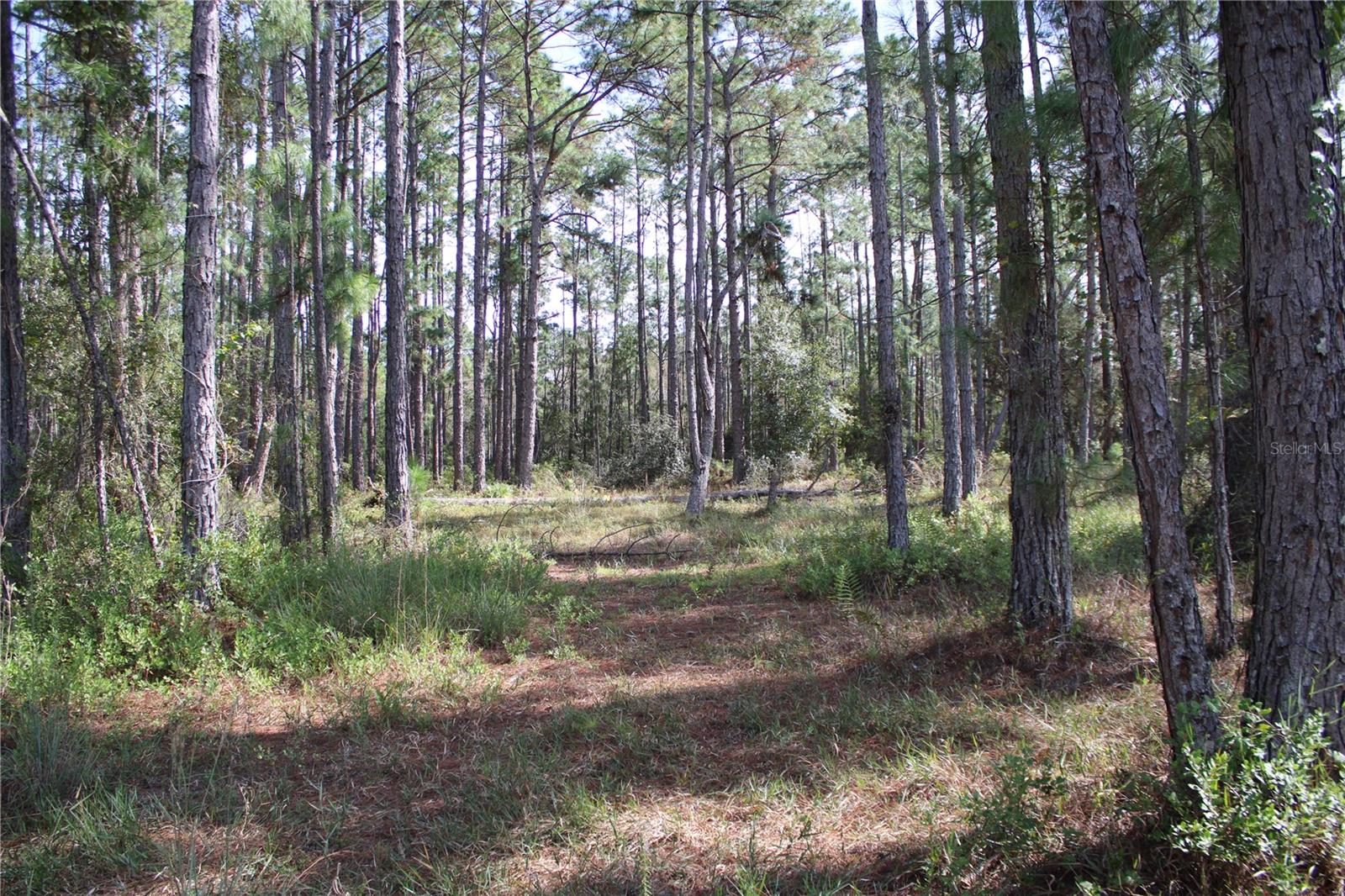 Duboise Dr Property Photo 17