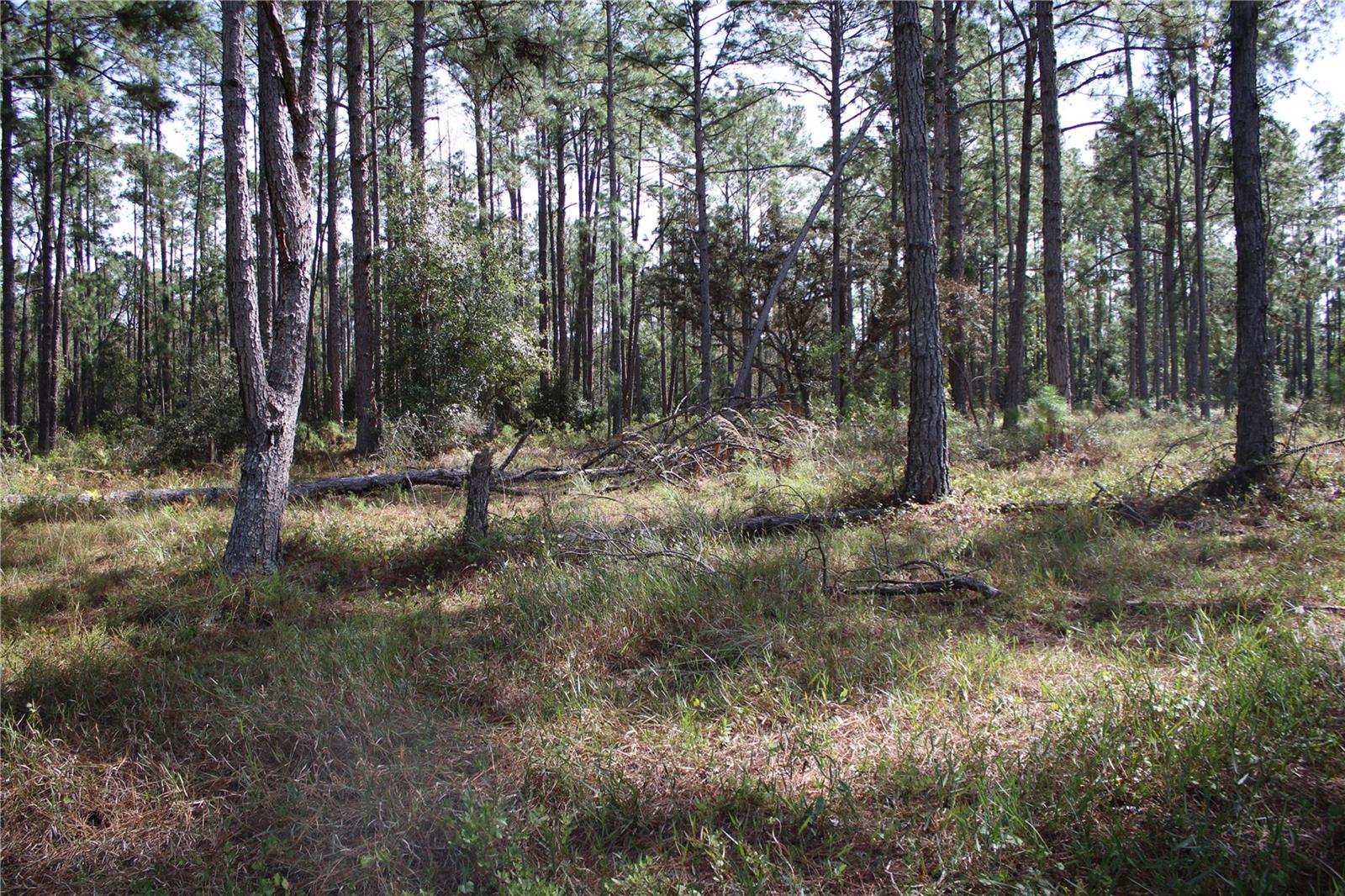 Duboise Dr Property Photo 18