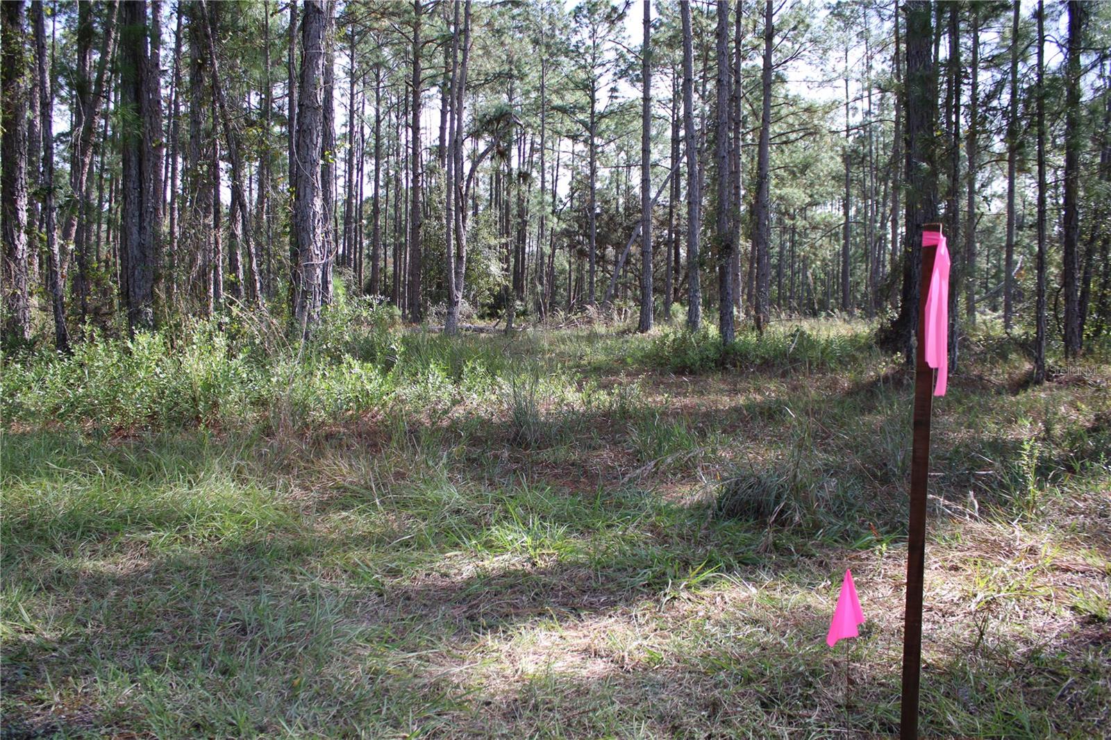 Duboise Dr Property Photo 19