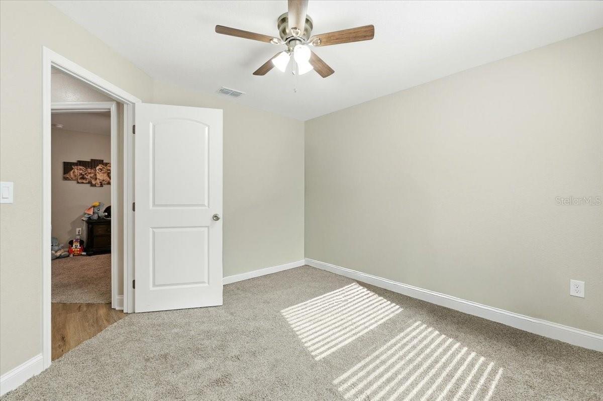31 Morgan St Property Photo 32