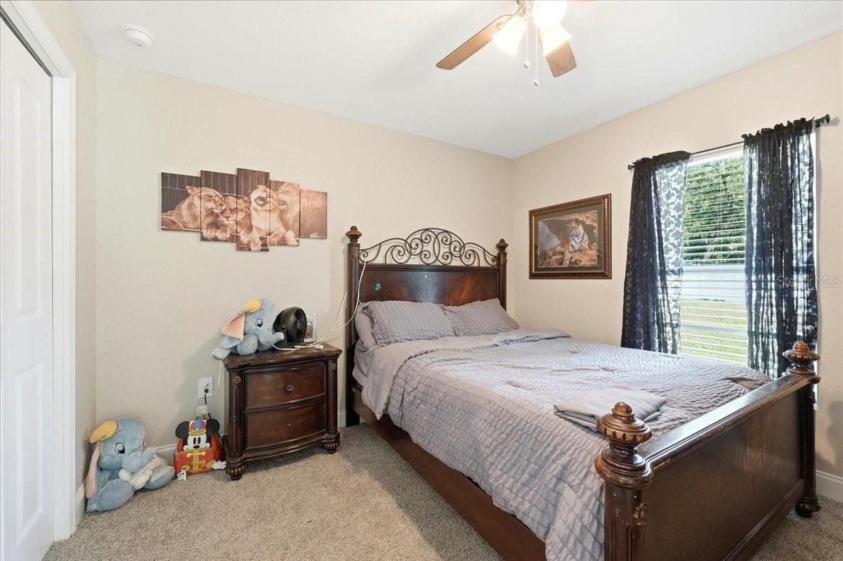 31 Morgan St Property Photo 34