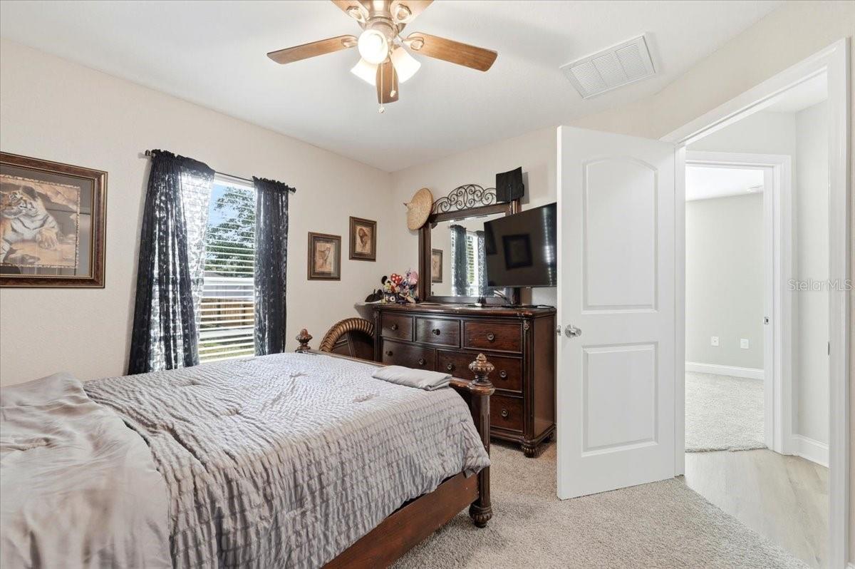 31 Morgan St Property Photo 35