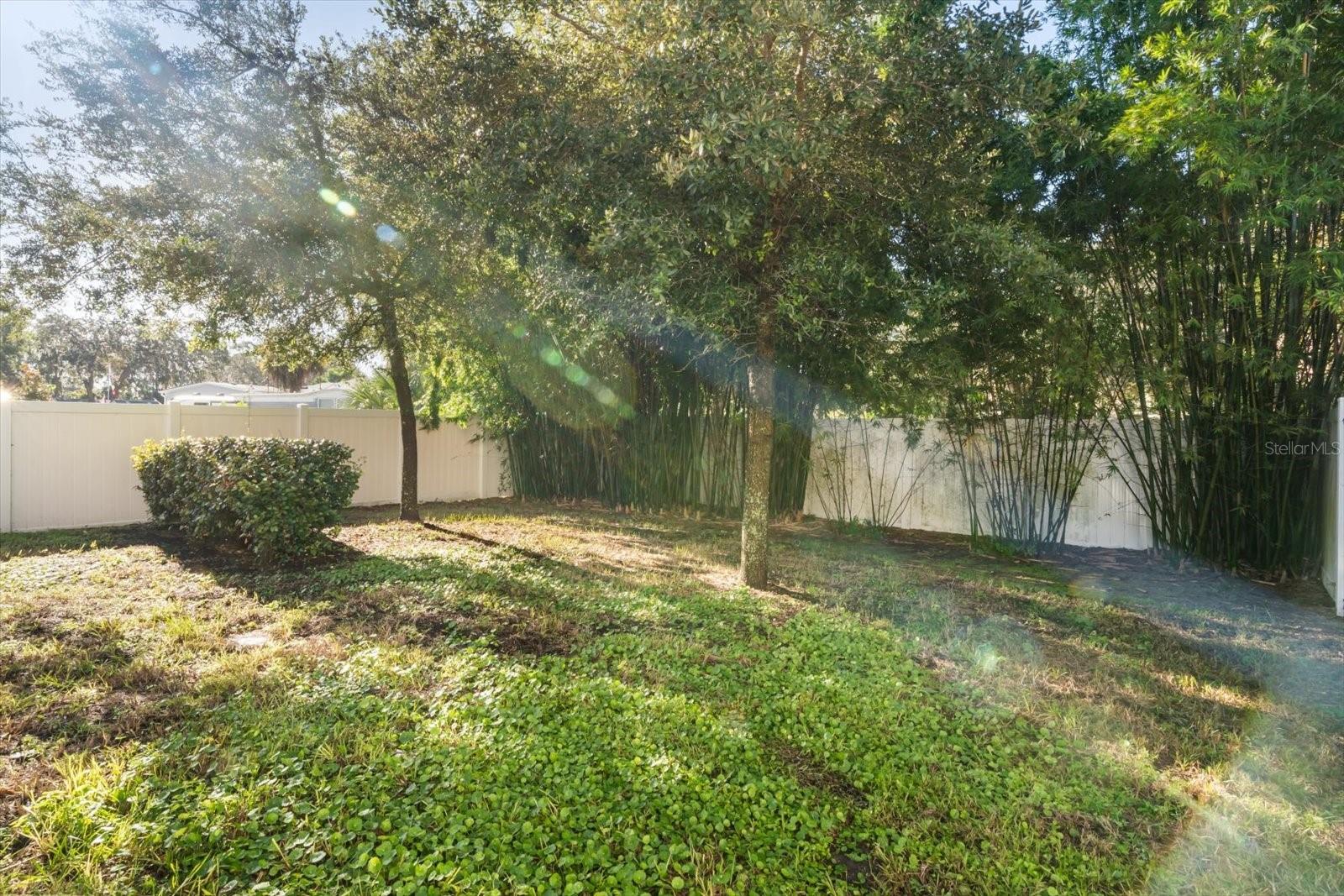 1289 Ash Tree Cv Property Photo 28