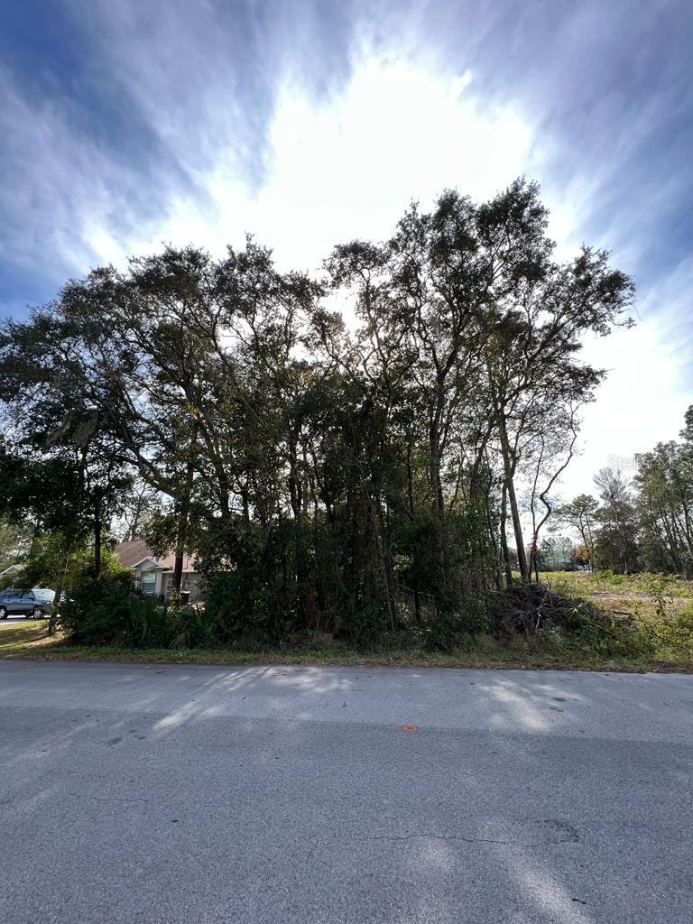 BAHIA TERRACE Property Photo 1
