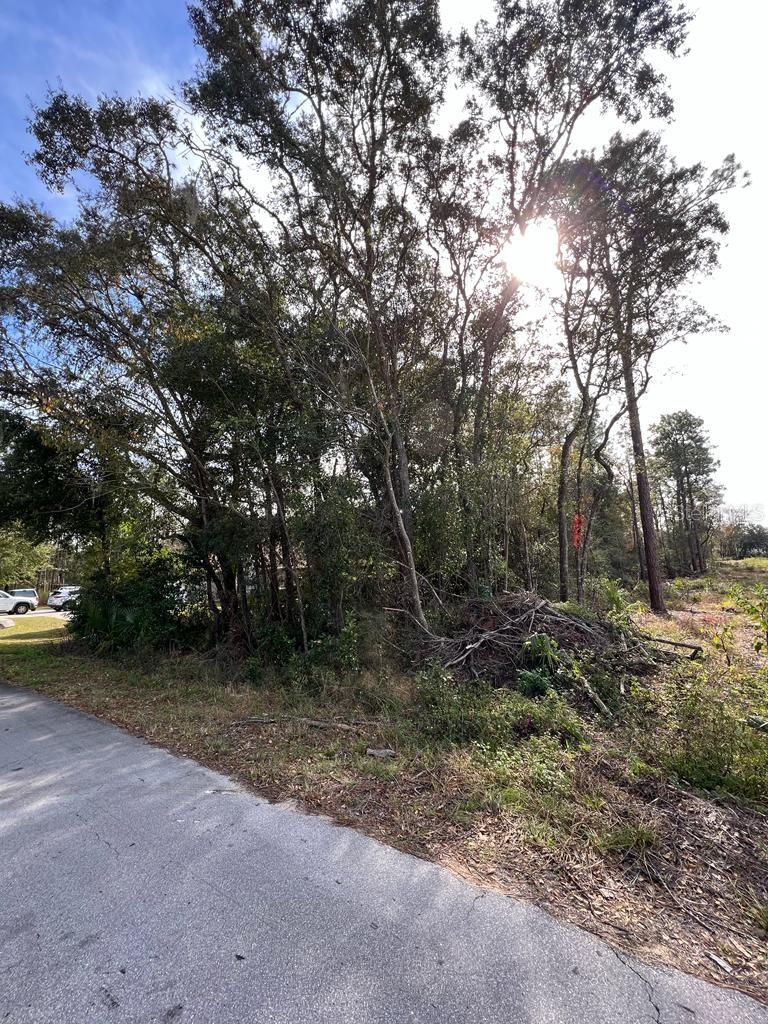 Bahia Terrace Property Photo 2