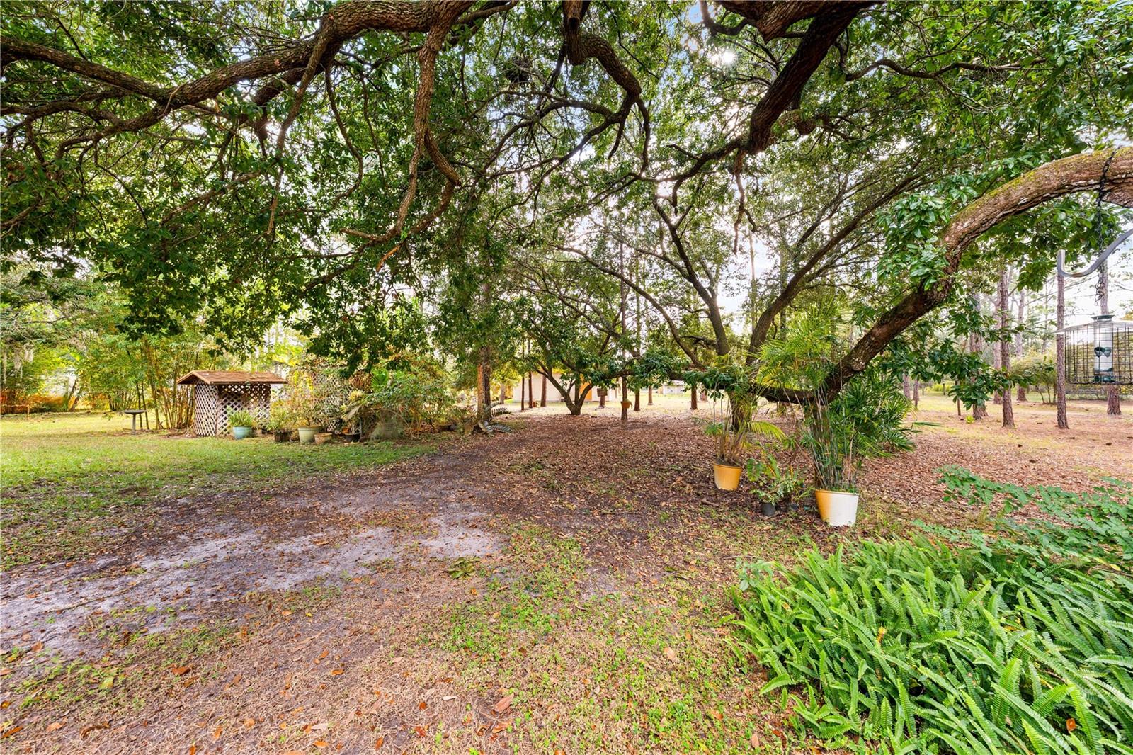 1860 Mustang Ct Property Photo 57