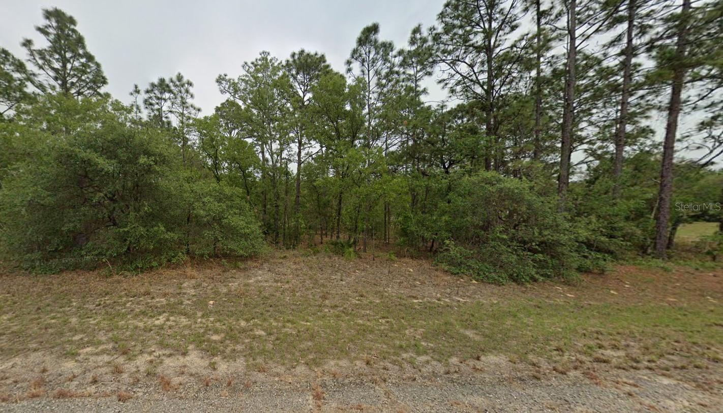 7627 N Dalton Ter Property Photo 3