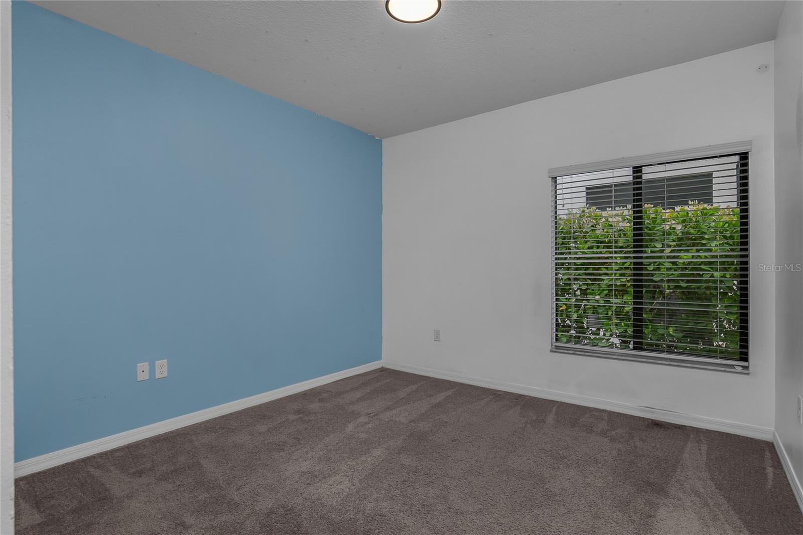 4834 Corrado Way Property Photo 24