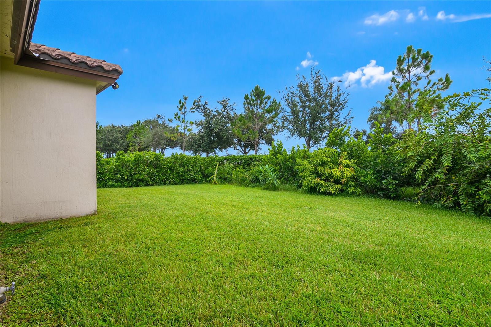 4834 Corrado Way Property Photo 31