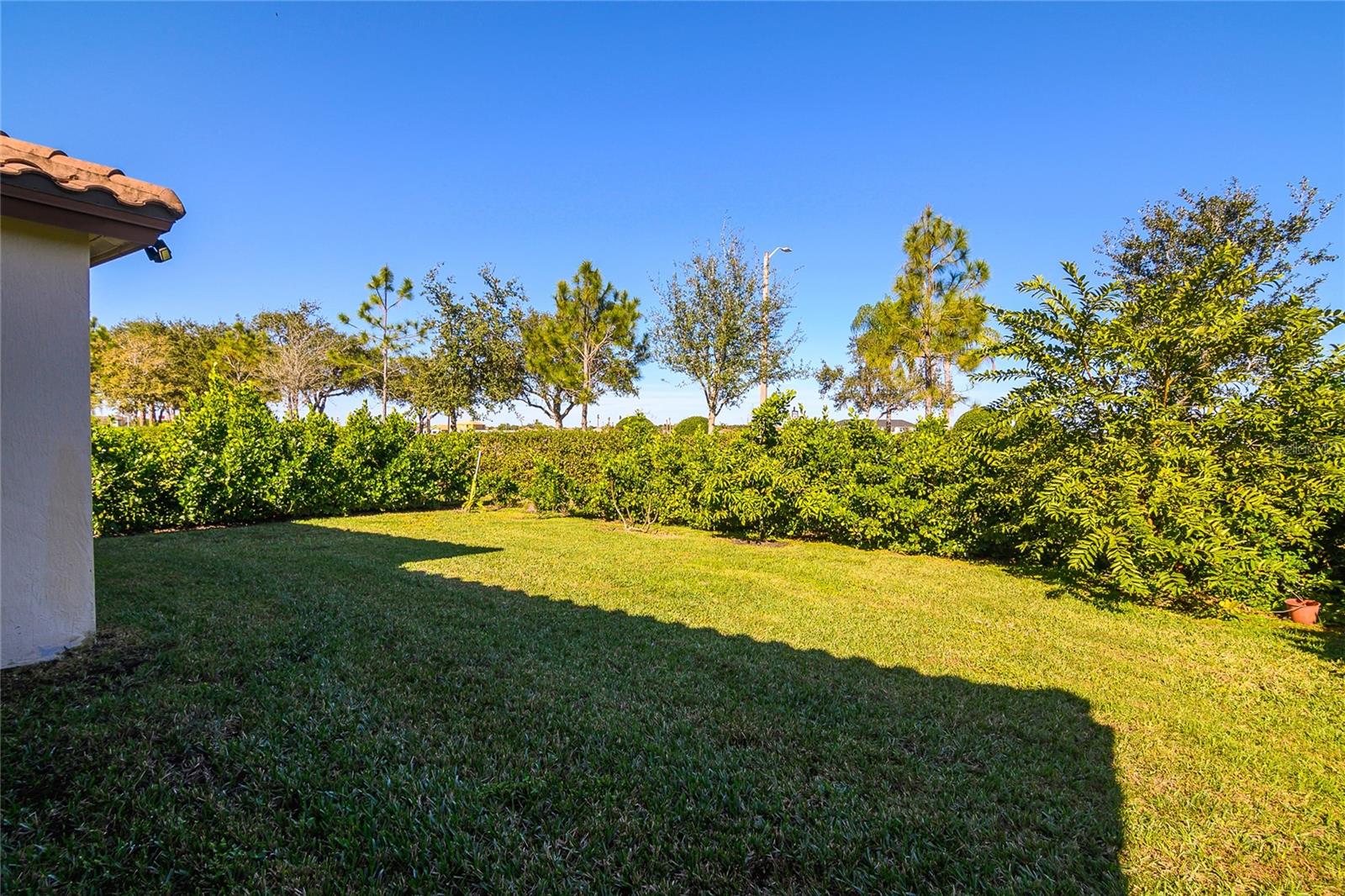 4834 Corrado Way Property Photo 32