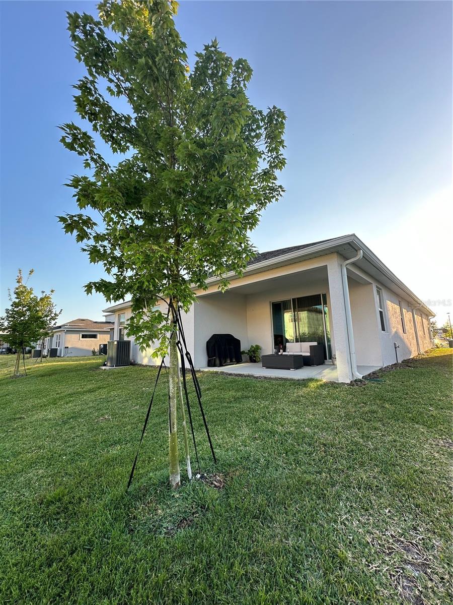 14827 Milfoil Ave Property Photo 4
