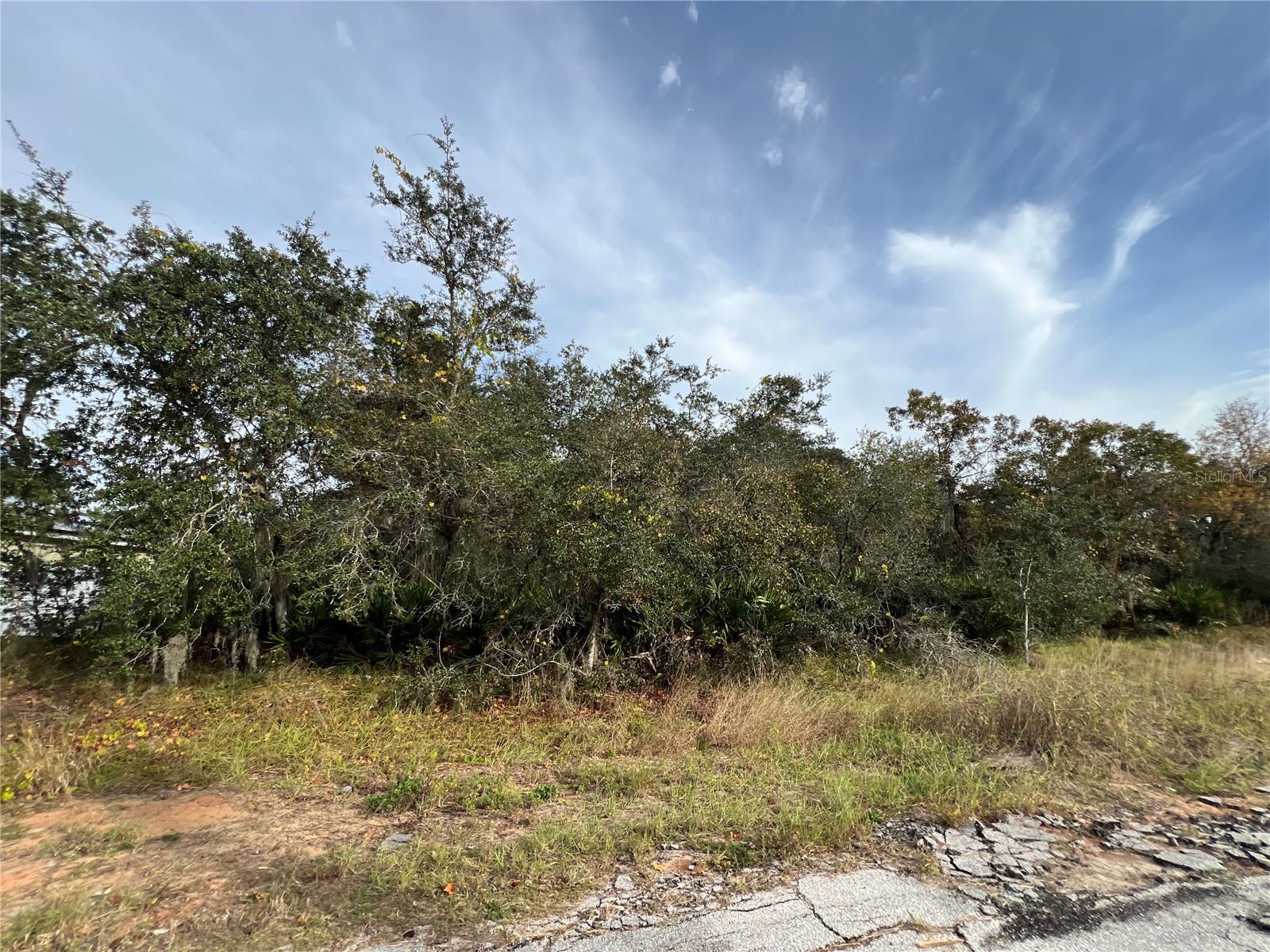 1205 ALAFIA WAY Property Photo 1