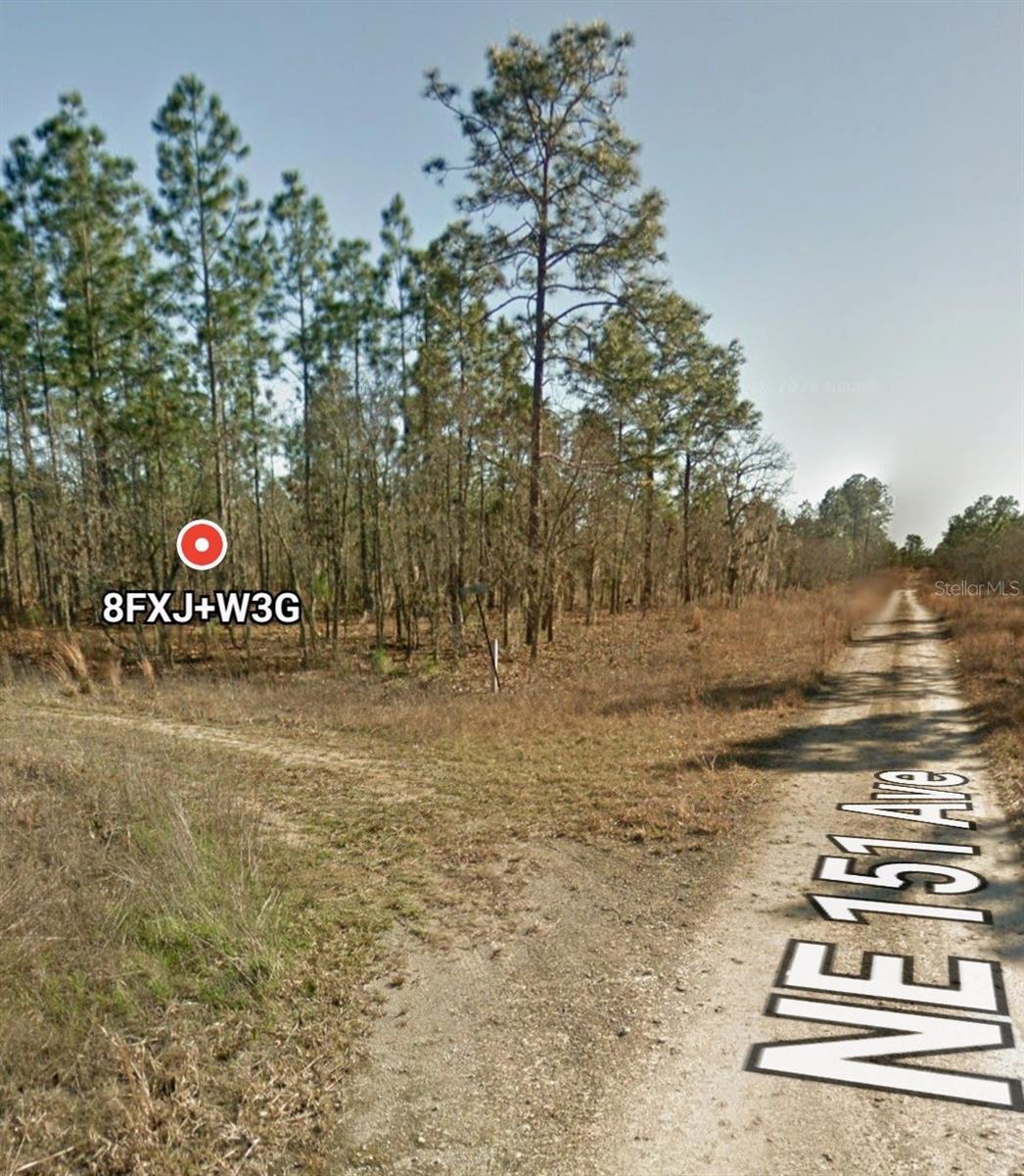 Tbd Ne 12 St Property Photo 4