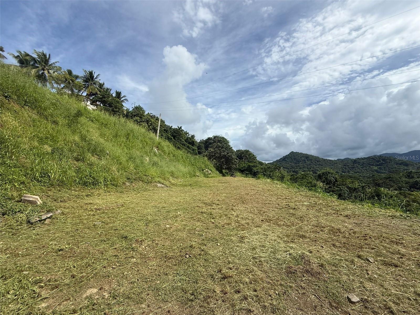 10 Rainforest And Sea View Resort, Property Photo 1