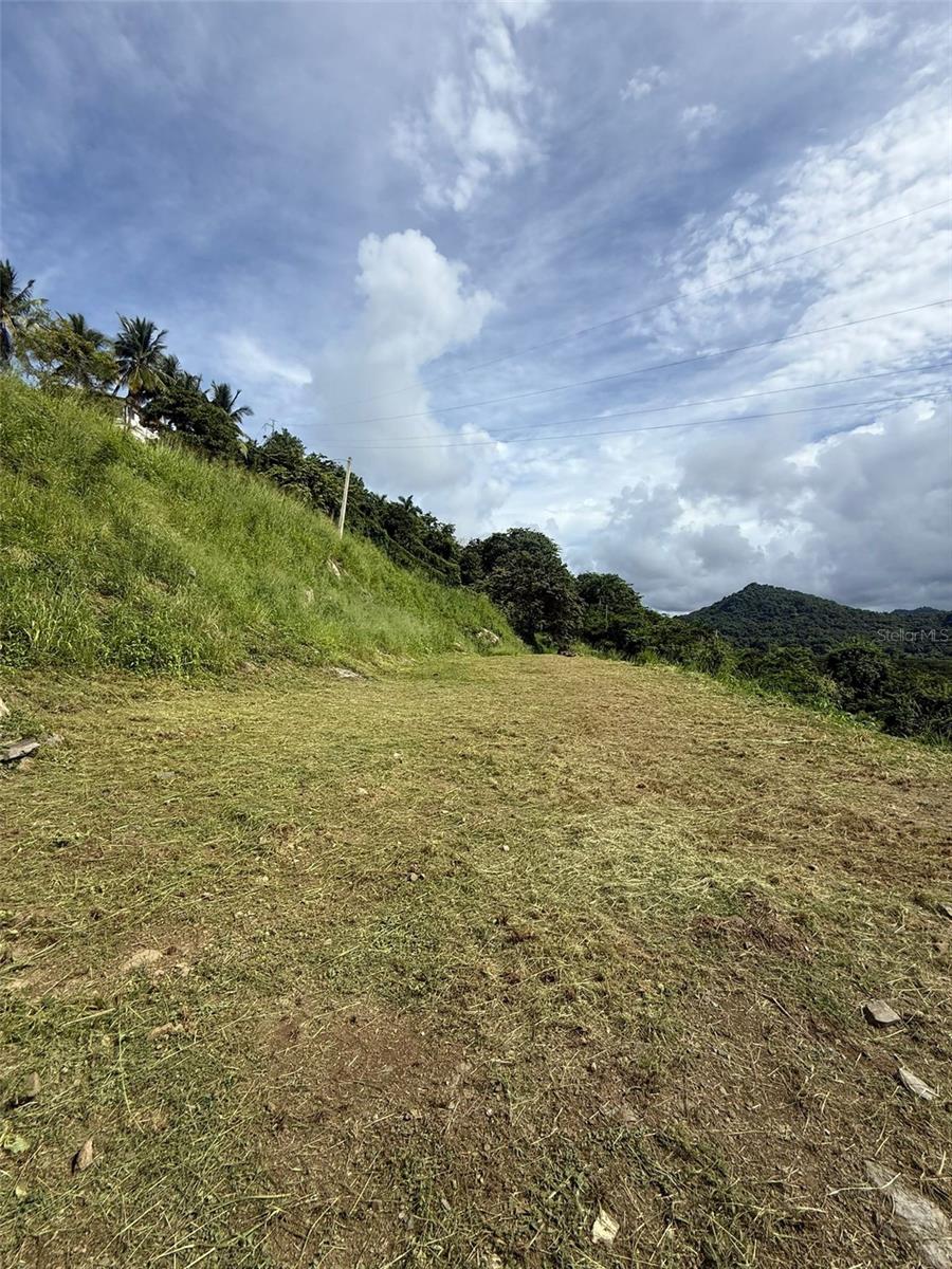 10 Rainforest And Sea View Resort, Property Photo 4