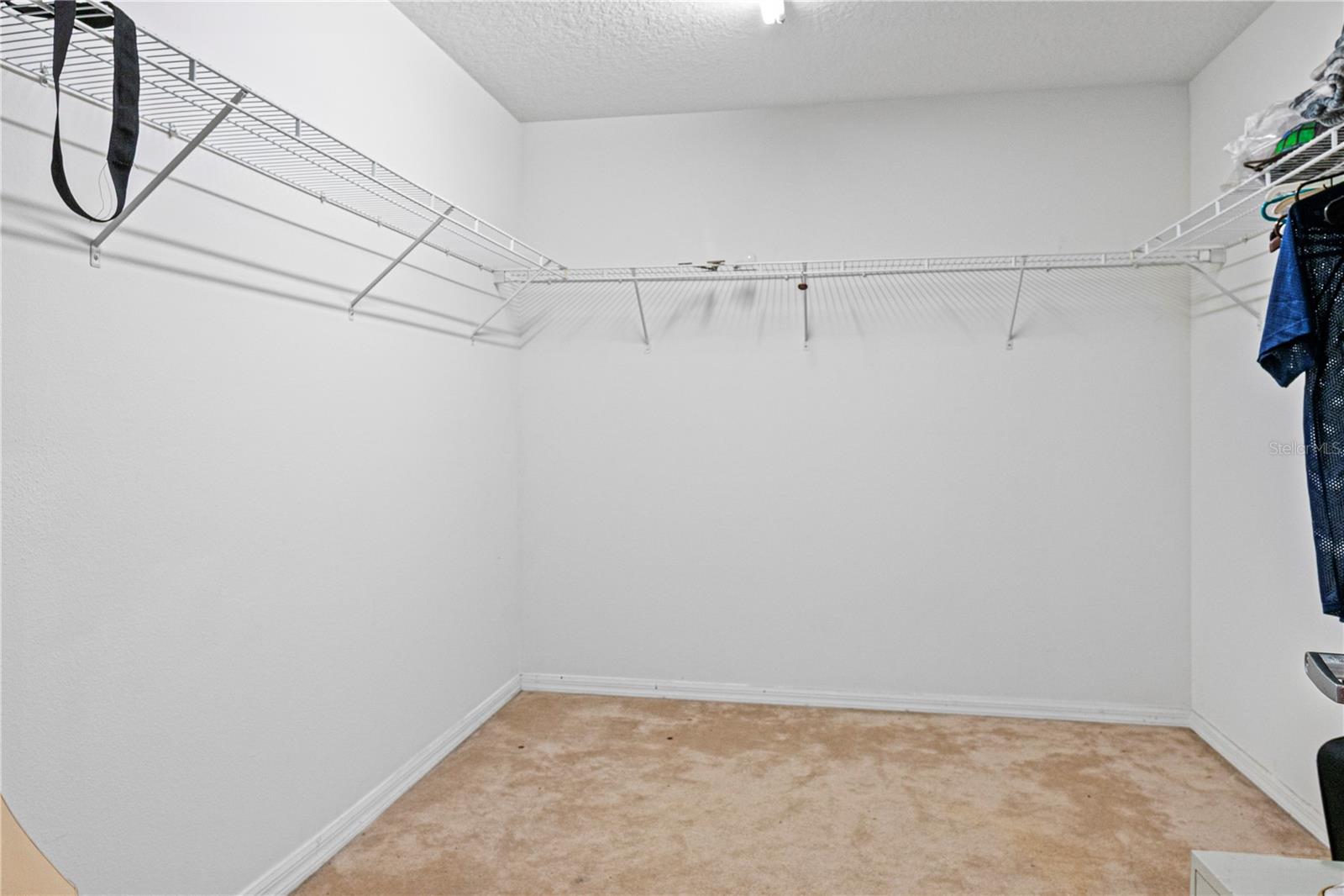 4071 Flowering Peach Ln Property Photo 33