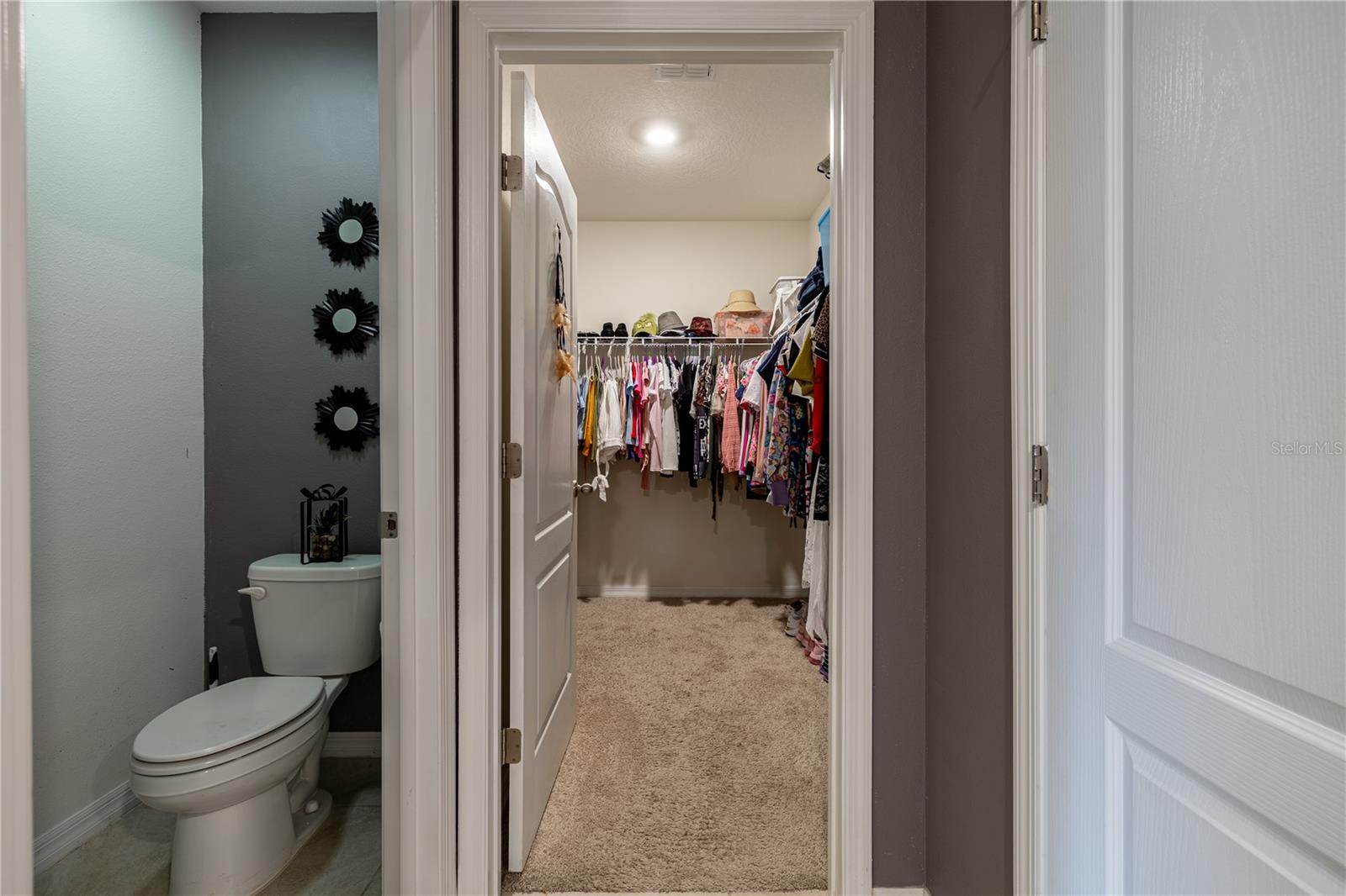 415 Francisco Way Property Photo 8
