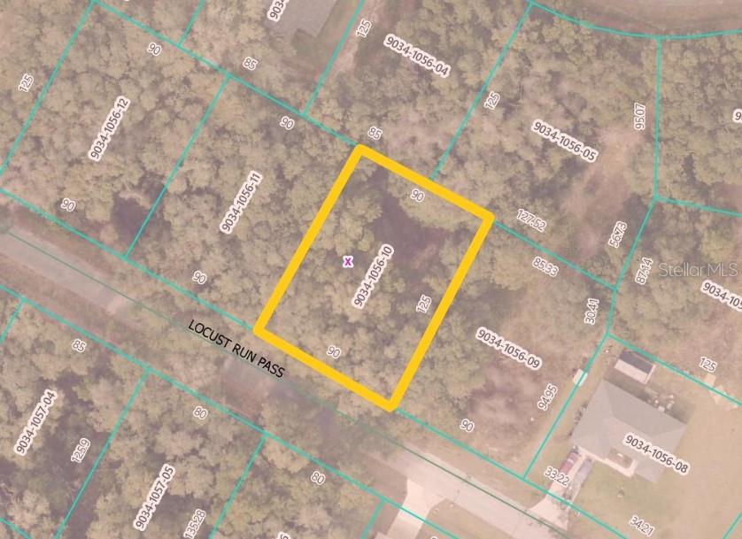 Locust Run Pass Property Photo 3