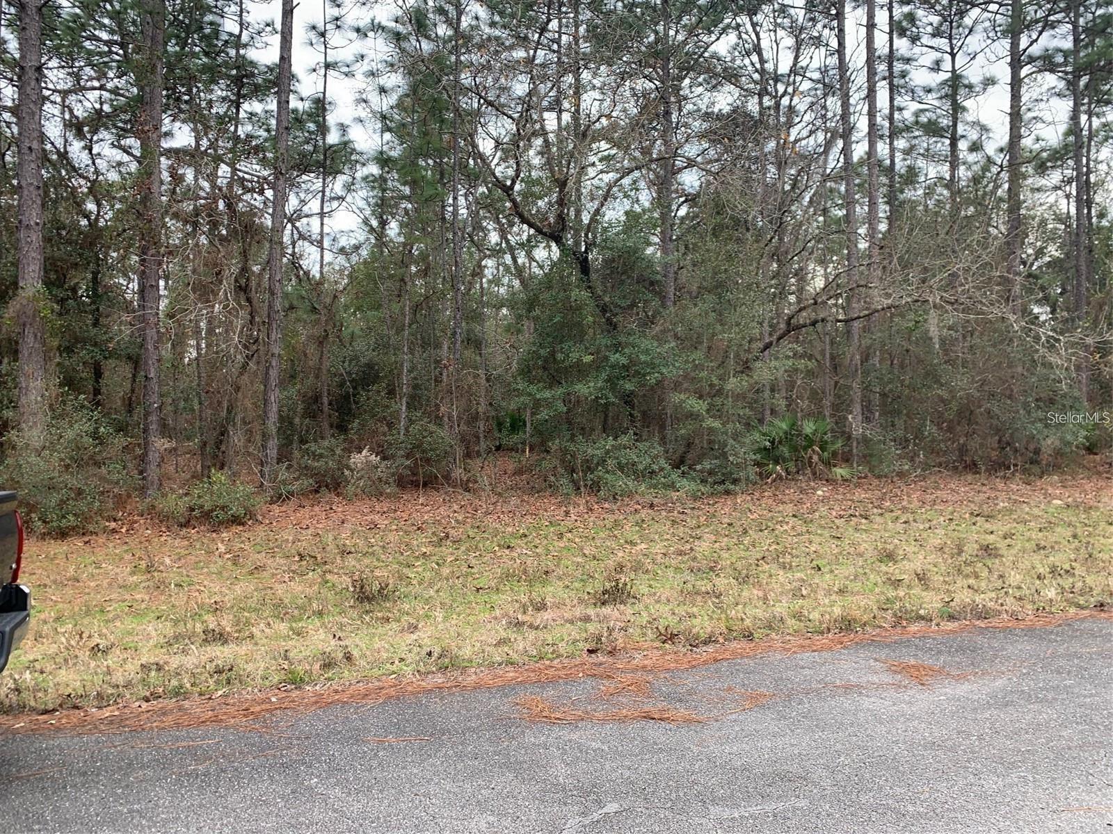 156 St Property Photo 5