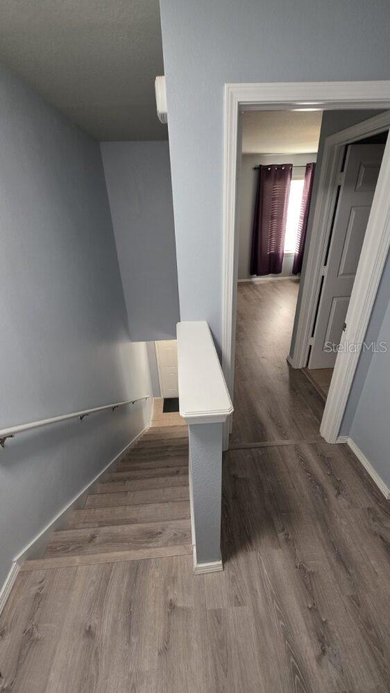 4630 Chatterton Way Property Photo 19