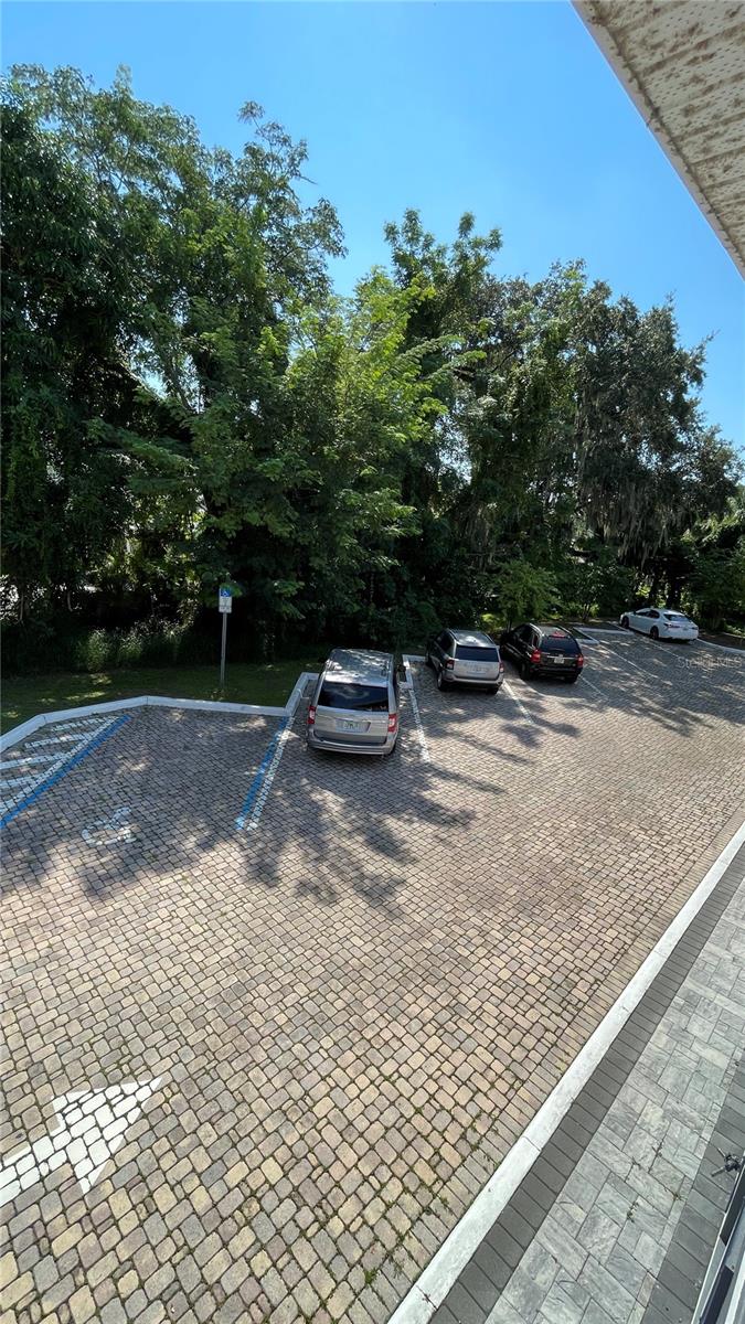 722 Patrick St #204 Property Photo 15