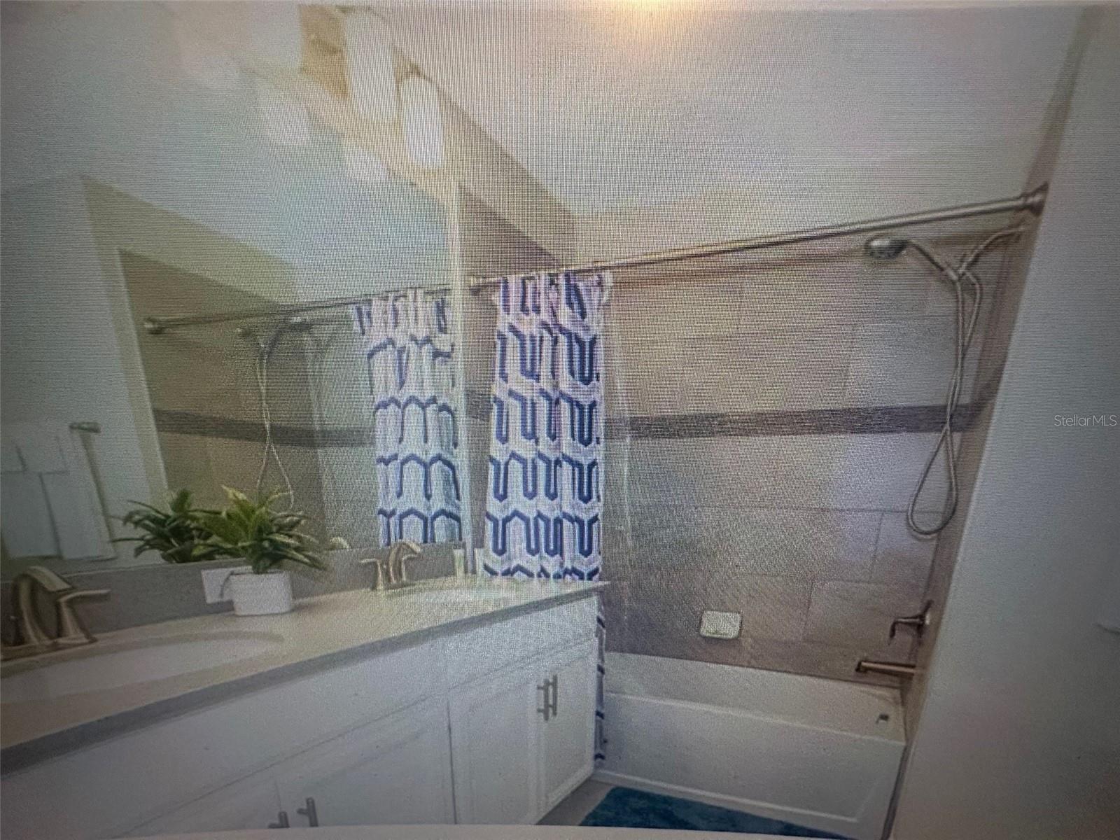 4976 Windermere Ave Property Photo 9