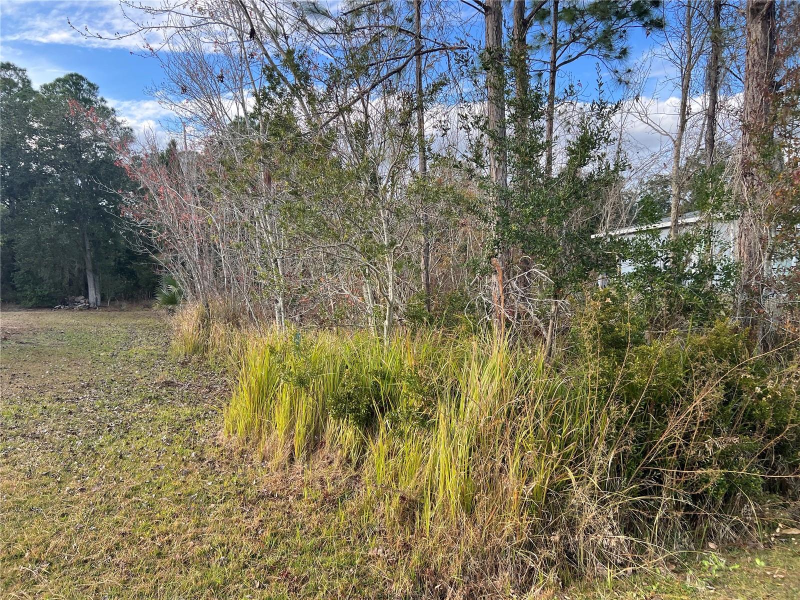 1425 Teal Dr Property Photo 1