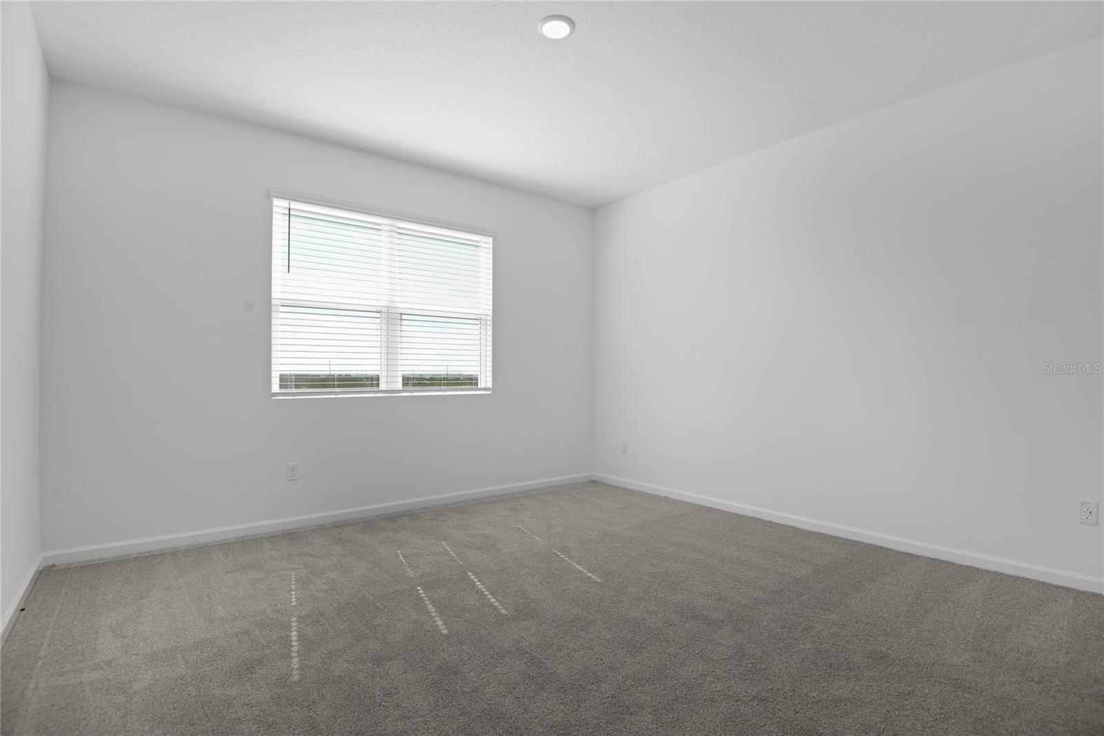 1260 Daisy Hill Way Property Photo 12