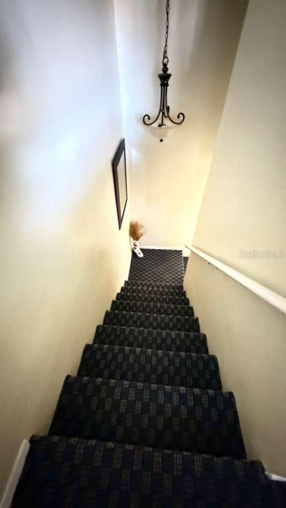 3197 Sea World Ct Property Photo 15