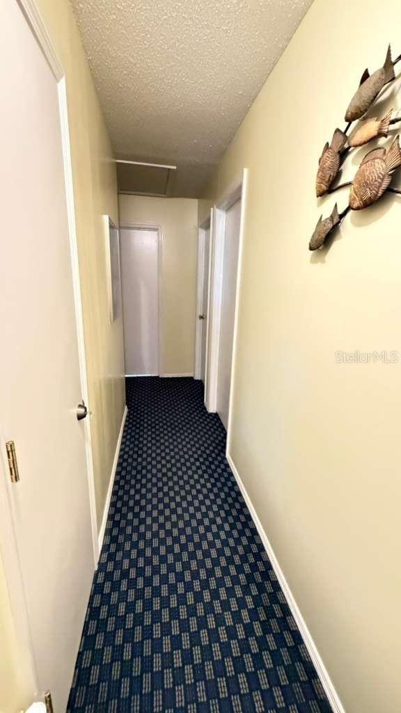 3197 Sea World Ct Property Photo 16