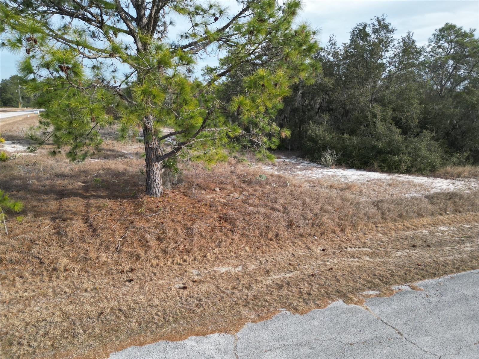 1319 Hillsborough Ln Property Photo 2