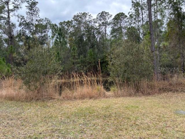 1720 Cassidy Dr Property Photo 37