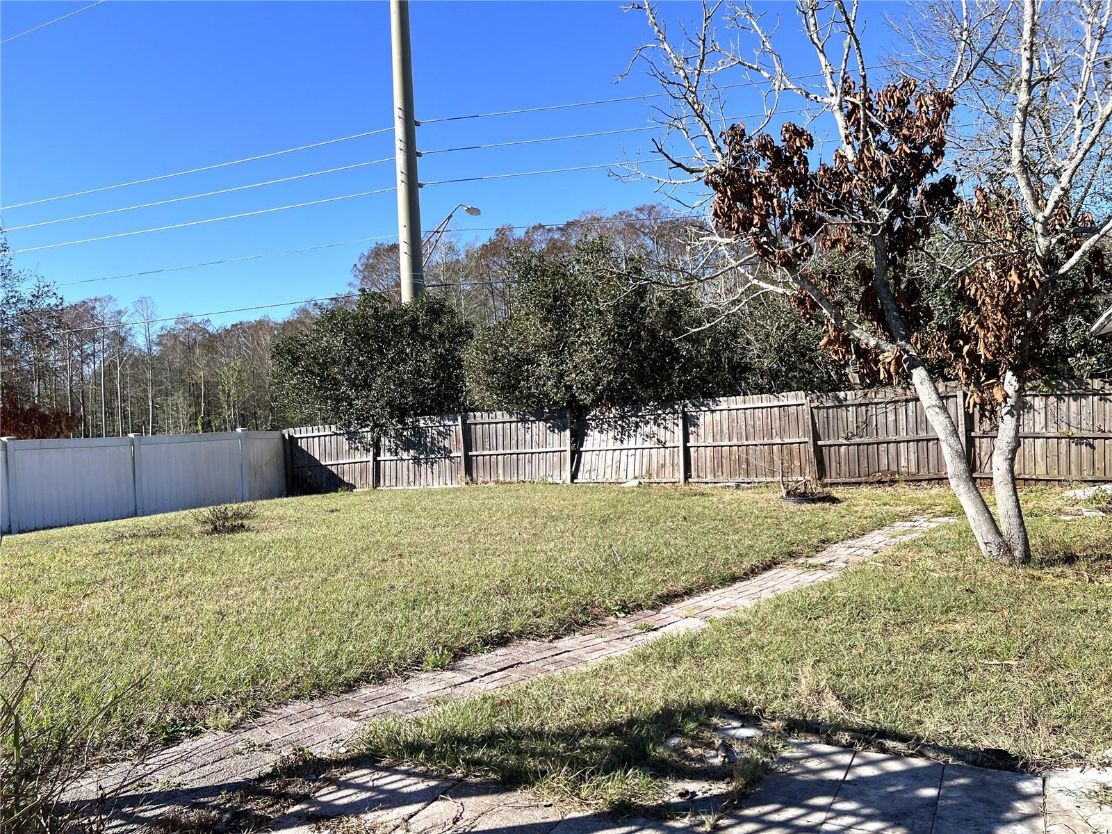 2908 Eldiente Way Property Photo 23