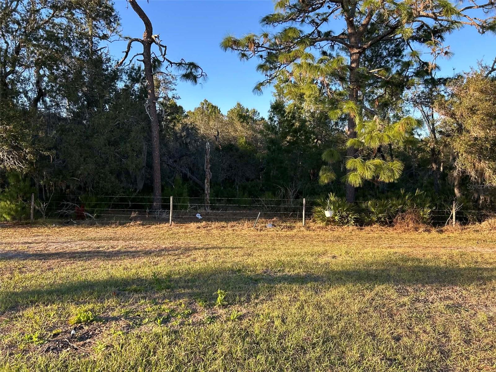 2612 Harmonia Hammock Rd Property Photo 14