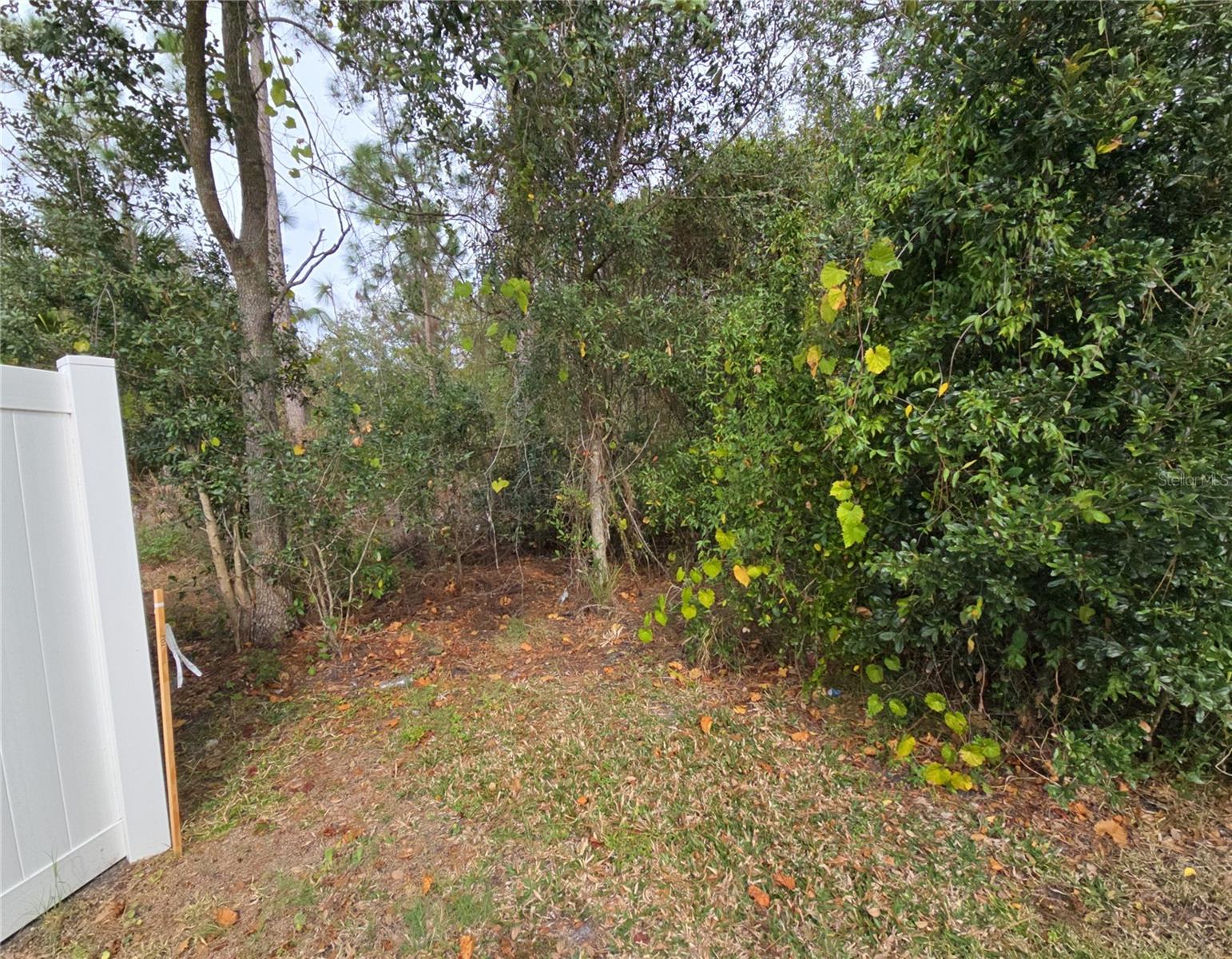 705 Wombat Way Property Photo 2