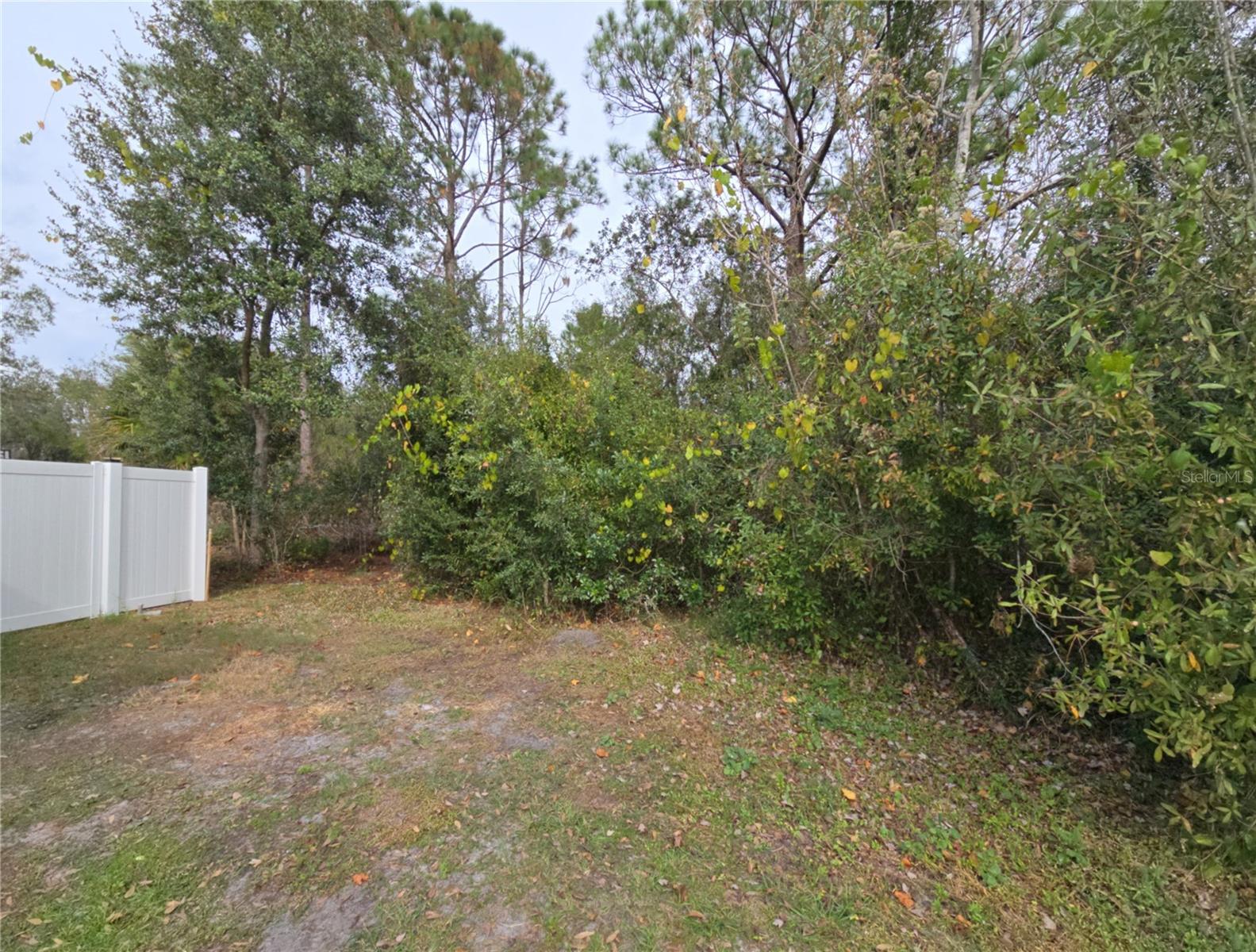 705 Wombat Way Property Photo 3