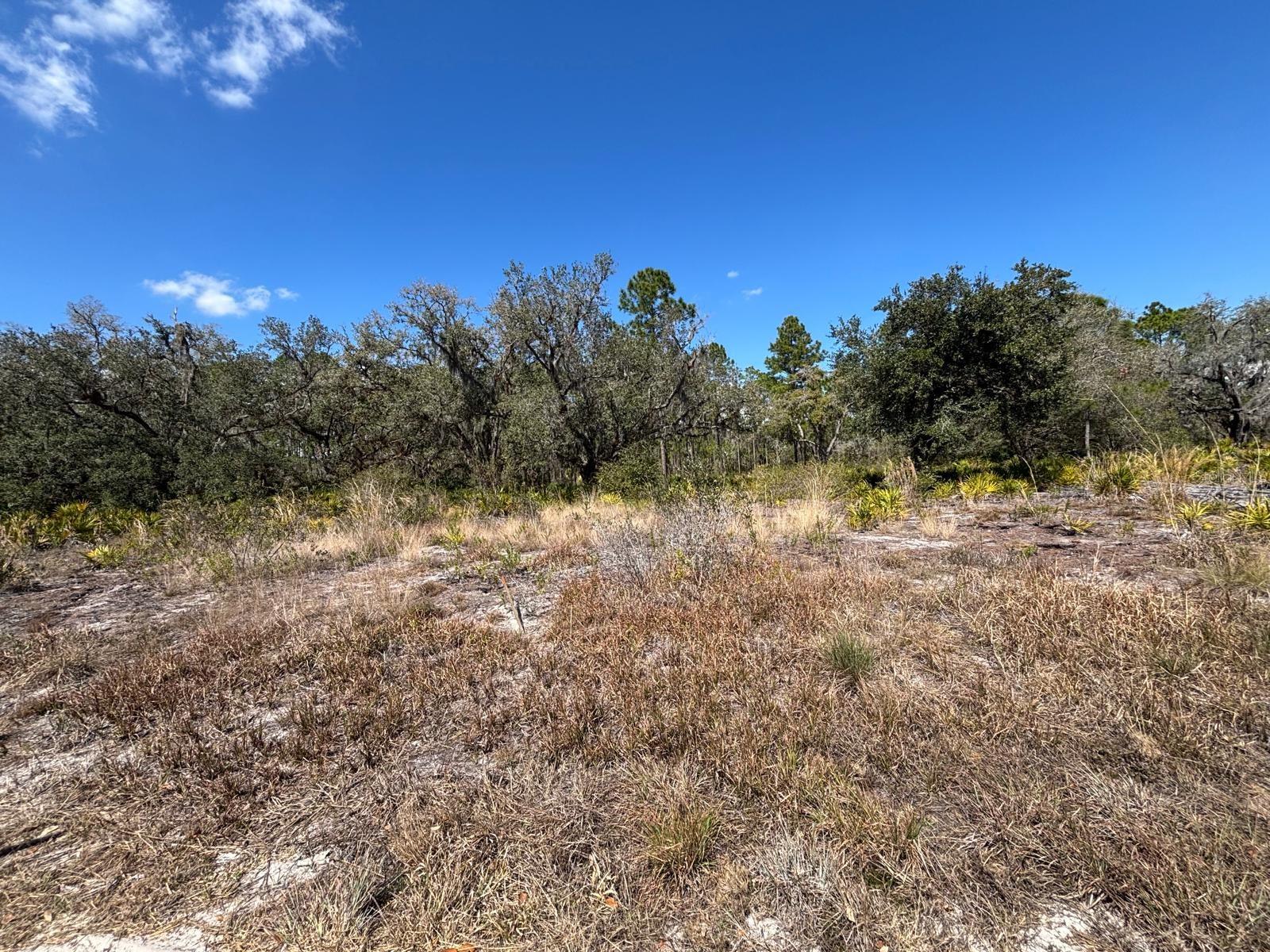 1006 PALM AVE Property Photo 1