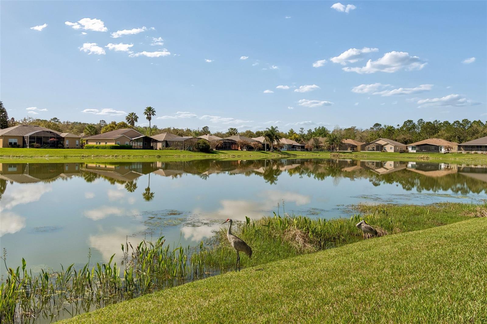 813 Glendora Rd Property Photo 44